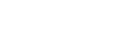 light logo