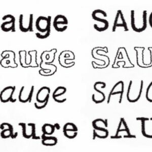 Protège carnet de santé – Image 5